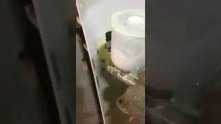 Грунтование аэрографом. Кузовной ремонт