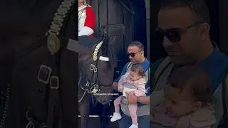 HORSE SENSE THE PURE JOY IN THE CHILD