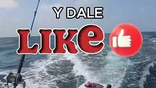 dlrosar channel youtube
