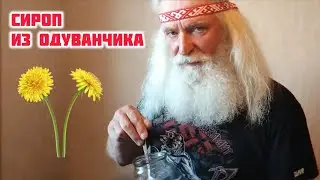Пей ЭТО для крепкого здоровья! Сироп из одуванчиков своими руками