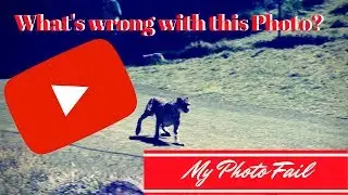 Photo Friday - #Fail