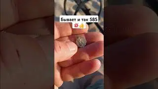 Находка в Голландии золото 585 
