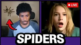 SPIDER JUMPSCARE TROLLING on OMEGLE (LIVE)