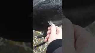 #shorts #2022 #ukraine  #ice #winter #satisfying