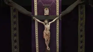 PERDONA JESÚS MÍO