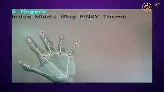 Escaparate | Finger Counter | Video 6 | Robocell, CCA