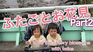【お花見】ふたごとお花見Part2 2人の成長を感じた春でした…