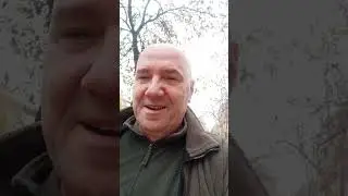 Вологда