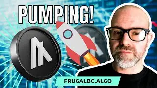 Algorand price is PUMPING! (and other Algorand news)