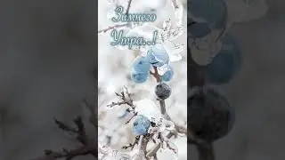 @_0104 #видео #видеооткрытки #длявас #срождеством #сдобрымутром #сднемрождения