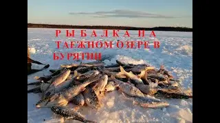 FISHING ON THE TAIGA LAKE IN BURYATIA