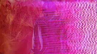 John Maus - The Combine (Official Video)