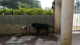 12 April 2018