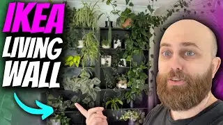 How to Make a Living Wall out of Ikea Bookshelves | Plant Chores