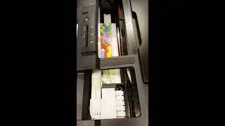 Kes DTG Epson L 1800 customer printer test print