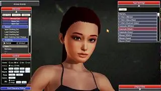 Ariana Grande 2 - Honey Select Card (Character Mod)