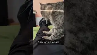 почему не болят колени после бега