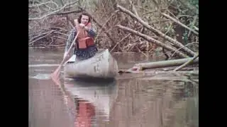 Your Chance To Live: Flood (1973) Disaster, Civil Defense