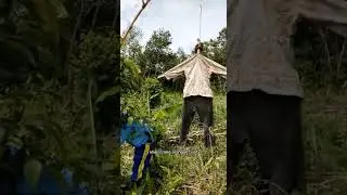 Pemasangan Bebegig