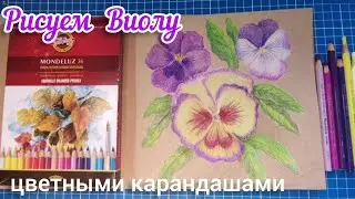 Рисунок цветными карандашам 