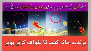 Miracle of Kaaba Birds doing Tawaaf Birds having tawaf-e-kaba'parinde Khana kaba ka tawaf karte hoye
