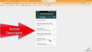 Activar Desarrollador y Depurador en Android