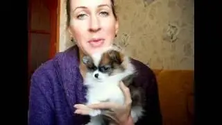 Что давать собаке от глистов ?