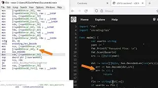 Solving a simple Linux Go Crackme on Windows in IDA Free: 