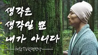 잡생각에 끌려다니지 않는 법ㅣ생각은 생각일 뿐 내가 아니다ㅣ