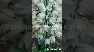 Цветы из пластиковых бутылок!Юкка!#мкцветы #