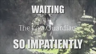 The Last Guardian Delayed AGAIN?