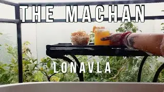 The Machan Lonavala | Mumbai to Lonavala by road | Restaurant tour and Price