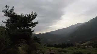 reco