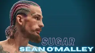Sean O'Malley Highlights HD || Welcome To The Sugar Show