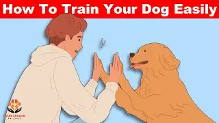 10 Ways You Can Train Your Dog Easier