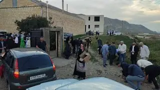 Привезли невесту ☝️
