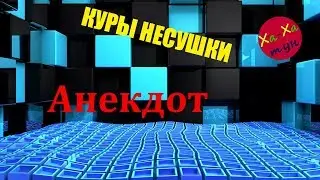АНЕКДОТ:КУРЫ НЕСУШКИ