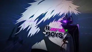 HARDY BOYS