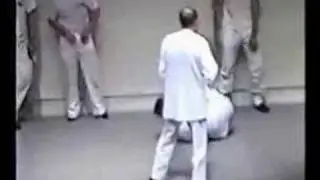 楊式太極拳