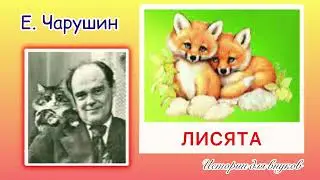Евгений Чарушин. ЛИСЯТА. Малышам 2+