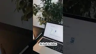 How to add Spotify to Notion