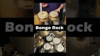 Bongo Rock - shorts