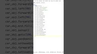 Python Drawing Car 