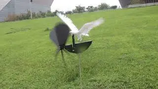 Eagle weathervane flapping its wings