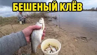 Рыбалка весной 2023 хороший клёв за пару часов
