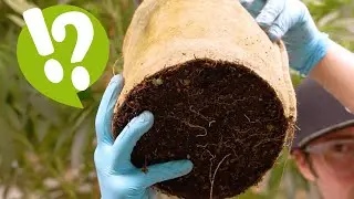 Bottomless Pots?! - What are they and why do we use them?