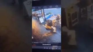 vomit