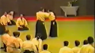Nobuyoshi Tamura Sensei in the Netherlands, part 3