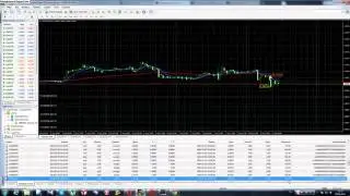 Forex4you,статистика после месяца работы в сервисе Share4you