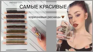 Обзор ВСЕЙ коллекции КОРИЧНЕВЫХ ресниц бренда Barbara🤎